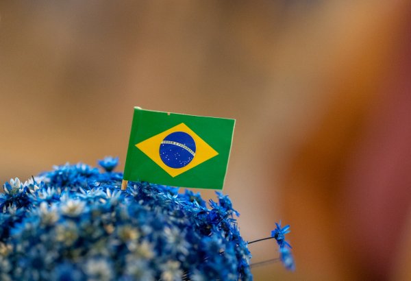 Braziliyada prezident seçkilərində səsvermə başa çatıb