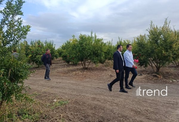 Ağdam rayonuna mediatur təşkil edilib (FOTO)