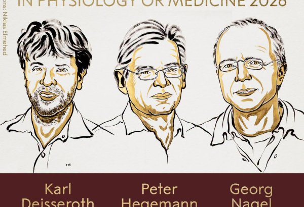 Tibb üzrə Nobel mükafatının laureatları açıqlanıb