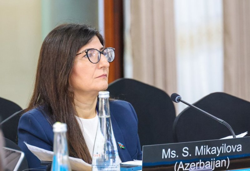 Deputat Sevil Mikayılova Aruşada IPU-nun İcraiyyə Komitəsinin iclasında iştirak edib (FOTO)
