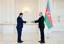 Prezident İlham Əliyev Avstriyanın Azərbaycanda yeni təyin olunmuş səfirini qəbul edib (FOTO)
