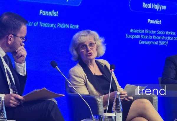 Almaniya Azərbaycanın uzunmüddətli investisiya layihələri üçün ixrac kreditlərini dəstəkləyə bilər - Nazirlik rəsmisi