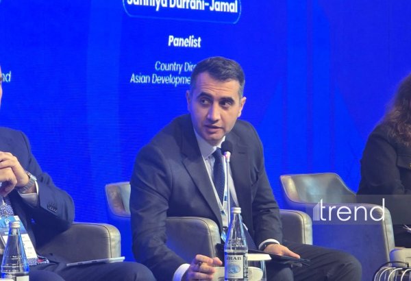 Çoxtərəfli inkişaf bankları Azərbaycana uzunmüddətli kapitalın cəlbində körpü rolunu oynaya bilər - AYİB