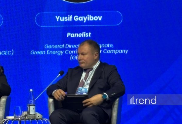 "Green Energy Corridor" layihəsi üzrə növbəti görüş Rumıniyada keçiriləcək