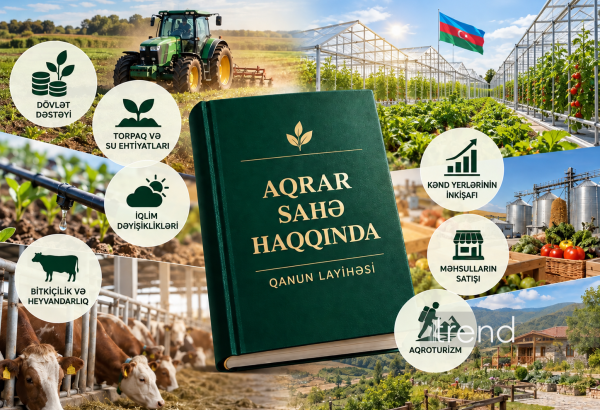 Aqrar sahədə 4 qanun ləğv oluna bilər
