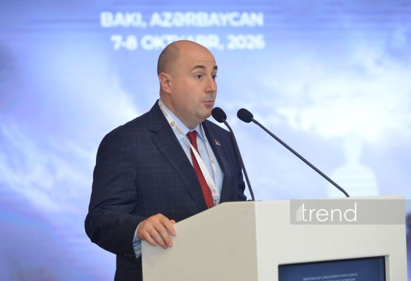 İtkin düşmüş şəxslərin tapılması üçün davamlı əməkdaşlıq tələb olunur - Serbiya XİN