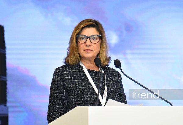 Dünyada iqlim dəyişikliyi və münaqişələr səbəbindən itkin düşən miqrantların sayı getdikcə artır - Ketrin Bomberger