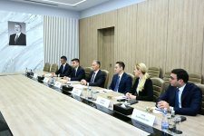 Rəşad Nəbiyev Estoniya Parlamentinin Xarici Əlaqələr Komitəsinin sədri ilə görüşüb (FOTO)