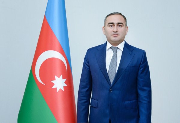 Dövlət Statistika Komitəsinə yeni sədr müavini təyin edilib