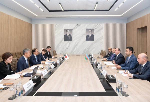RİNN-də Yaponiya nümayəndə heyəti ilə görüş keçirilib (FOTO)