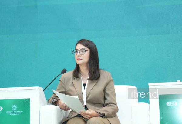 Son altı ildə milli-mənəvi dəyərlərlə bağlı 689 layihə həyata keçirilib - Ülviyyə Qarayeva