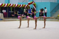 Qazaxda gimnastika üzrə “Grace of Nature” turniri start götürüb (FOTO)