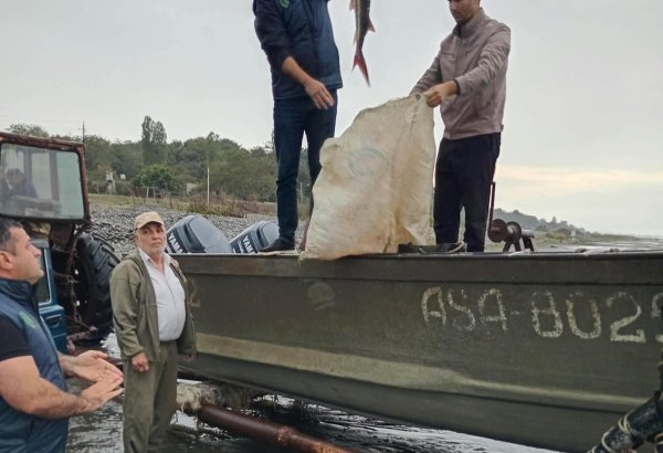 Xəzərdə qadağan olunmuş balıqları ovlayan şəxslər 5 min manat cərimələnib (FOTO)