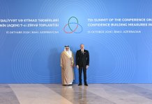 Prezident İlham Əliyev AQEM-in 7-ci Zirvə Toplantısında çıxış edib (FOTO)