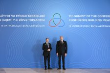 Prezident İlham Əliyev AQEM-in 7-ci Zirvə Toplantısında çıxış edib (FOTO)