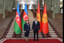 Azərbaycan-Qırğızıstan münasibətlərinin müttəfiqlik səviyyəsində inkişafı müzakirə edilib (FOTO)