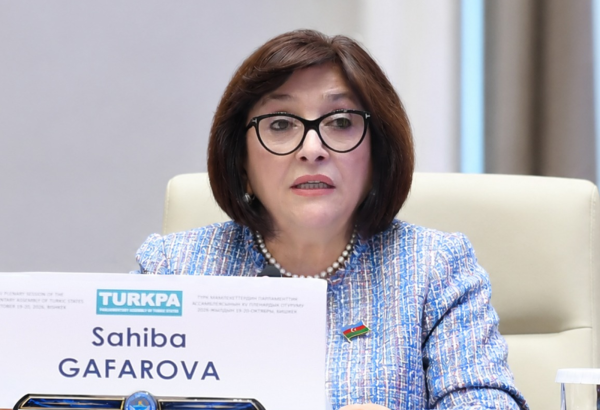 Süni intellekt və texnoloji tərəqqi yeni imkanlarla yanaşı, yeni təhlükəsizlik riskləri də yaradır - Sahibə Qafarova