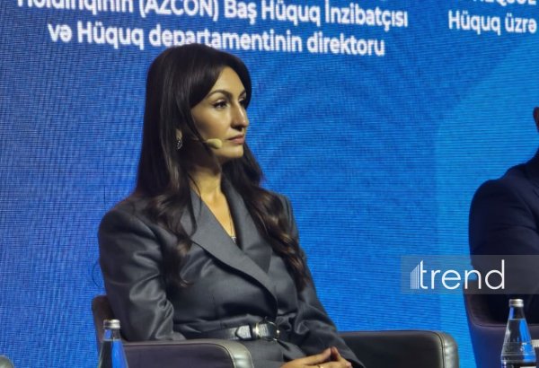 Vergilərin 92,6%-i könüllü bəyan olunur - DVX