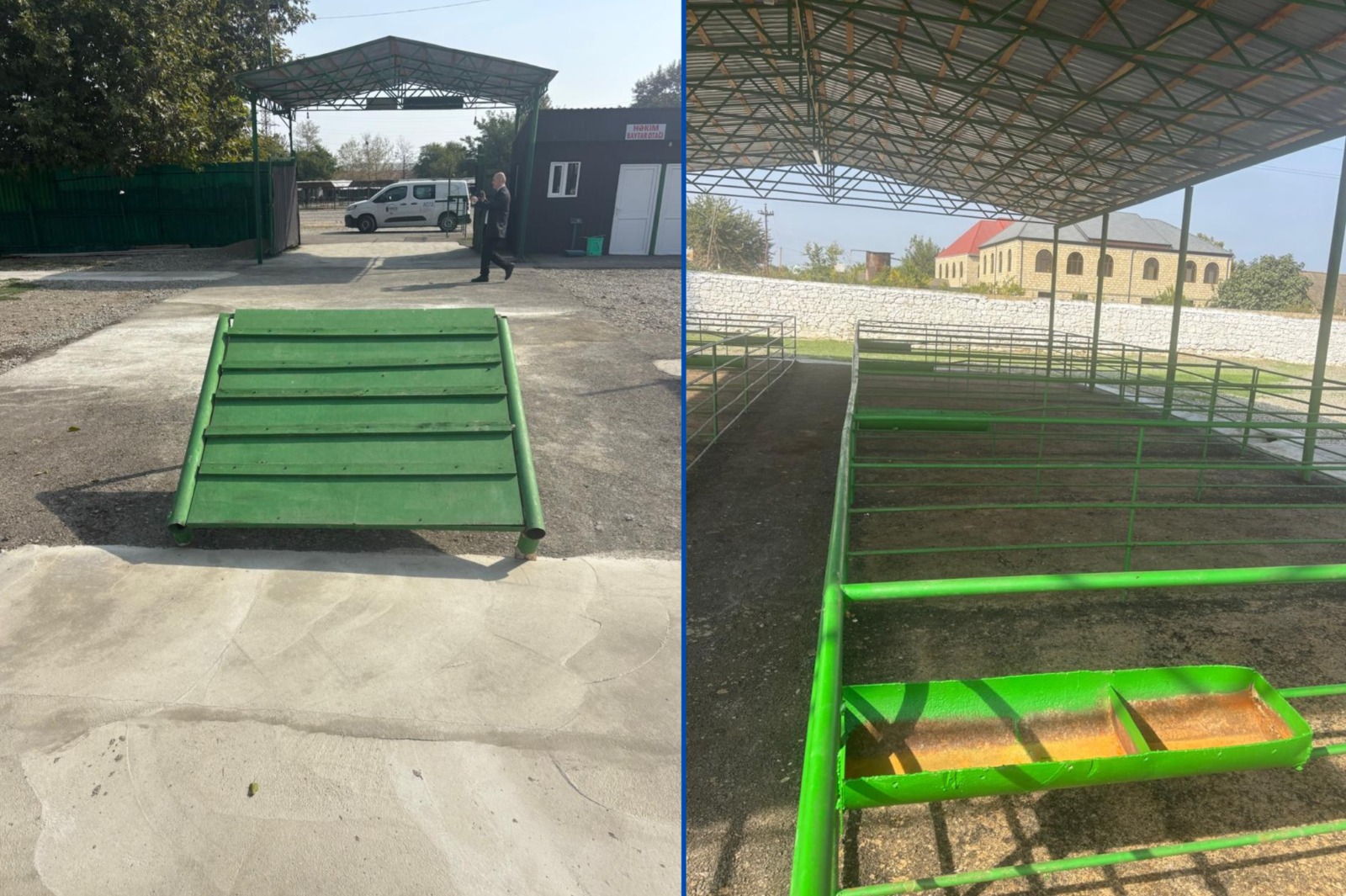 Şəmkirdə yeni heyvan satışı bazarı fəaliyyətə başladı (FOTO)