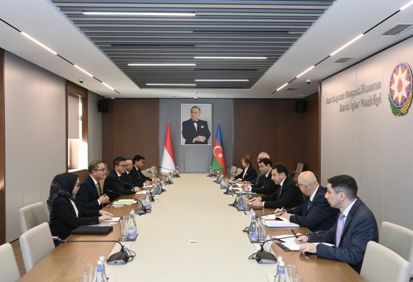 Azərbaycan və İndoneziya arasında İƏT Zirvə Görüşünə hazırlıq müzakirə olunub (FOTO)