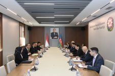 Azərbaycan və İndoneziya arasında İƏT Zirvə Görüşünə hazırlıq müzakirə olunub (FOTO)