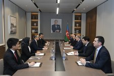 Azərbaycan və İndoneziya arasında İƏT Zirvə Görüşünə hazırlıq müzakirə olunub (FOTO)