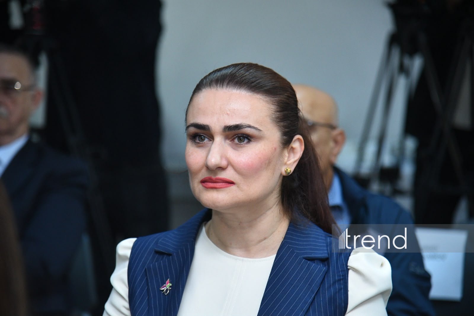 Azər Qarayevin “Təhlükəsizlik prizmasından baxış” kitabının təqdimatı keçirilib (FOTO)