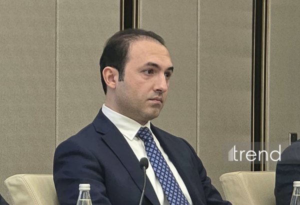 Ani ödənişlər sistemi vasitəsilə gündəlik əməliyyatların sayı 1 milyona çatıb - AMB rəsmisi