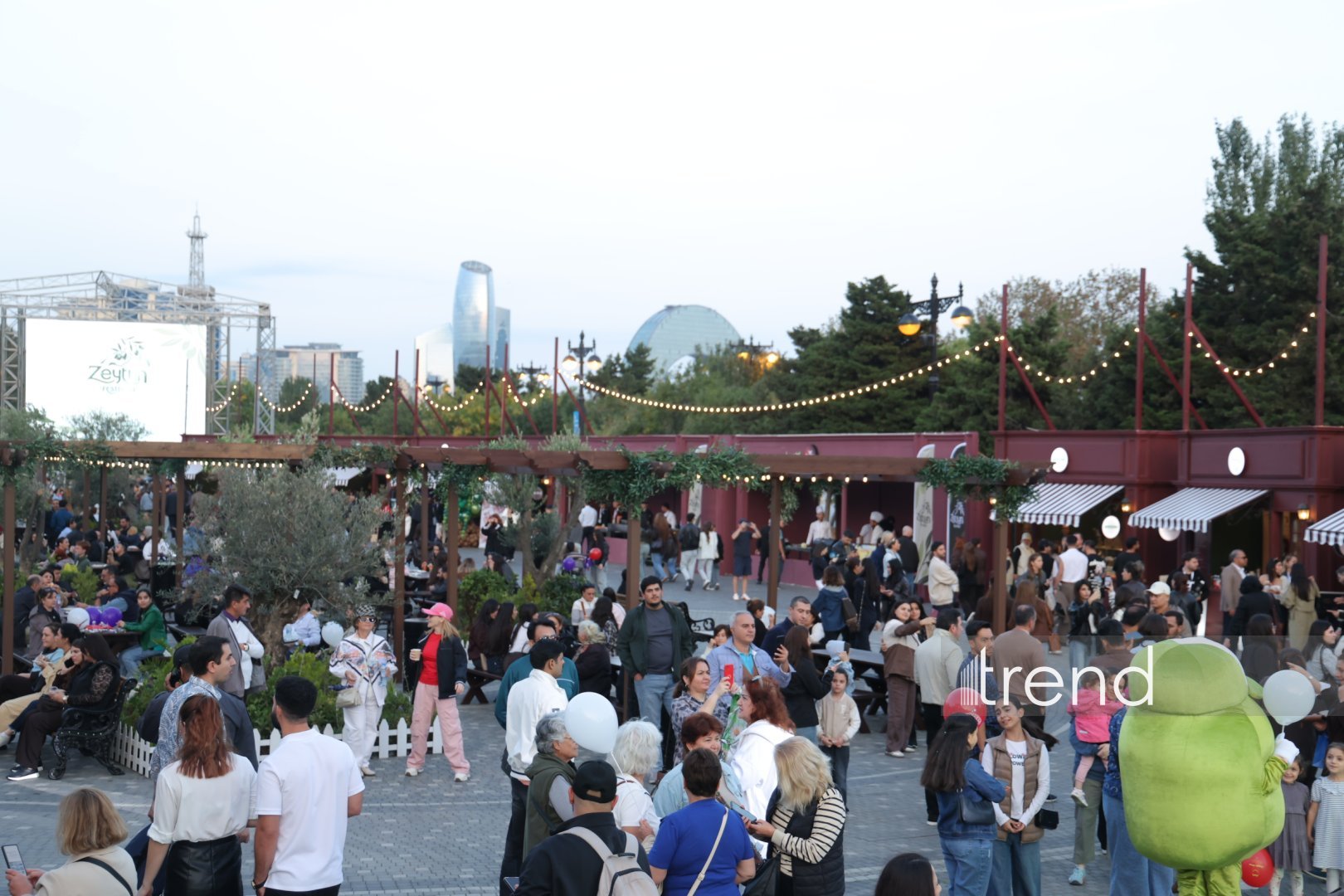 Bakıda zeytun festivalı başlayıb – üç gün qastronomik yeniliklər, milli ənənələr və konsertlər (FOTO)