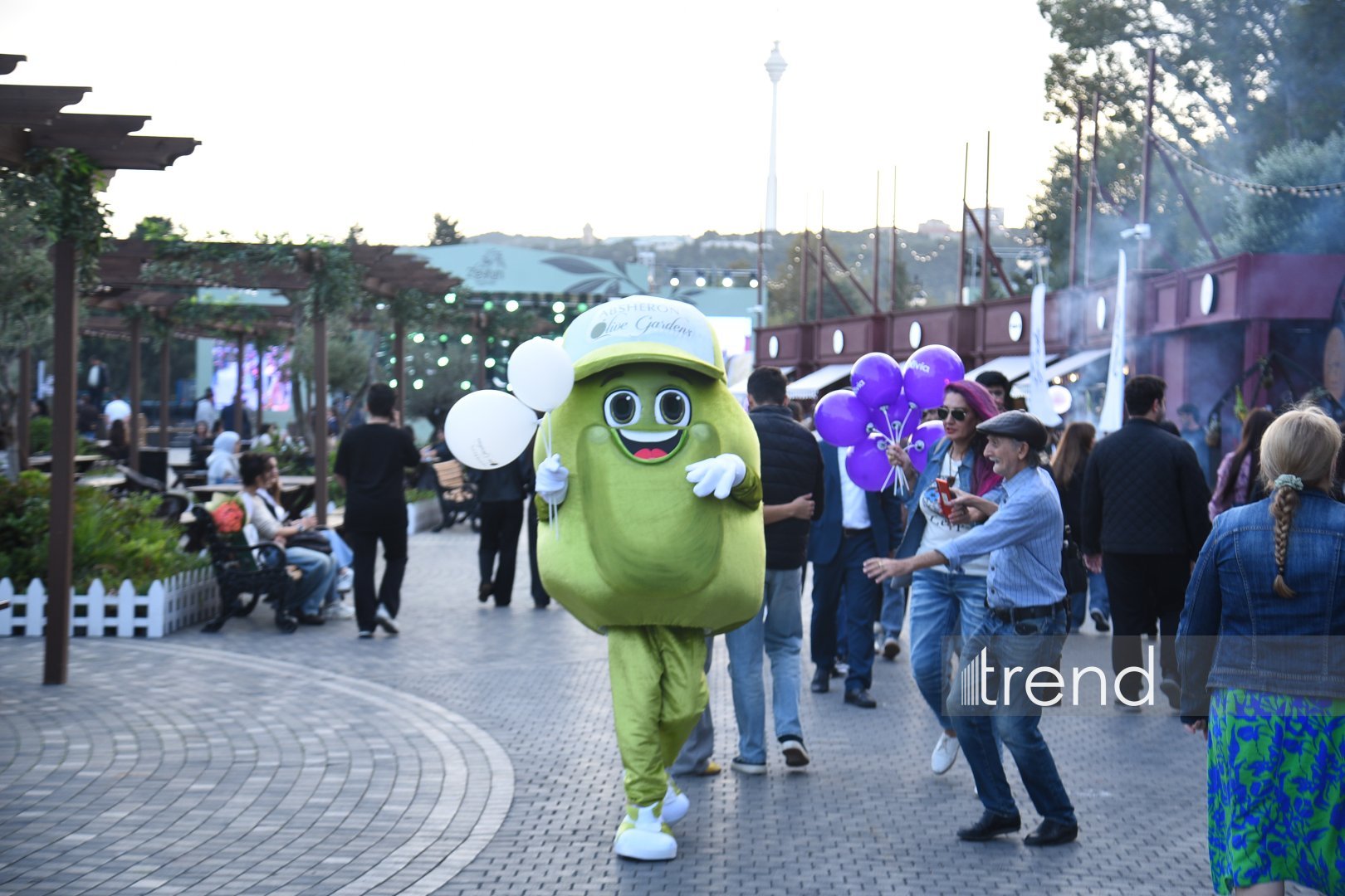 Bakıda zeytun festivalı başlayıb – üç gün qastronomik yeniliklər, milli ənənələr və konsertlər (FOTO)