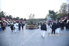 Bakıda zeytun festivalı başlayıb – üç gün qastronomik yeniliklər, milli ənənələr və konsertlər (FOTO)