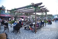 Bakıda zeytun festivalı başlayıb – üç gün qastronomik yeniliklər, milli ənənələr və konsertlər (FOTO)