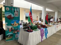 Aşqabadda BMT günü münasibətilə Azərbaycan xüsusi stendlə təmsil olunub (FOTO)