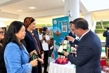 Aşqabadda BMT günü münasibətilə Azərbaycan xüsusi stendlə təmsil olunub (FOTO)