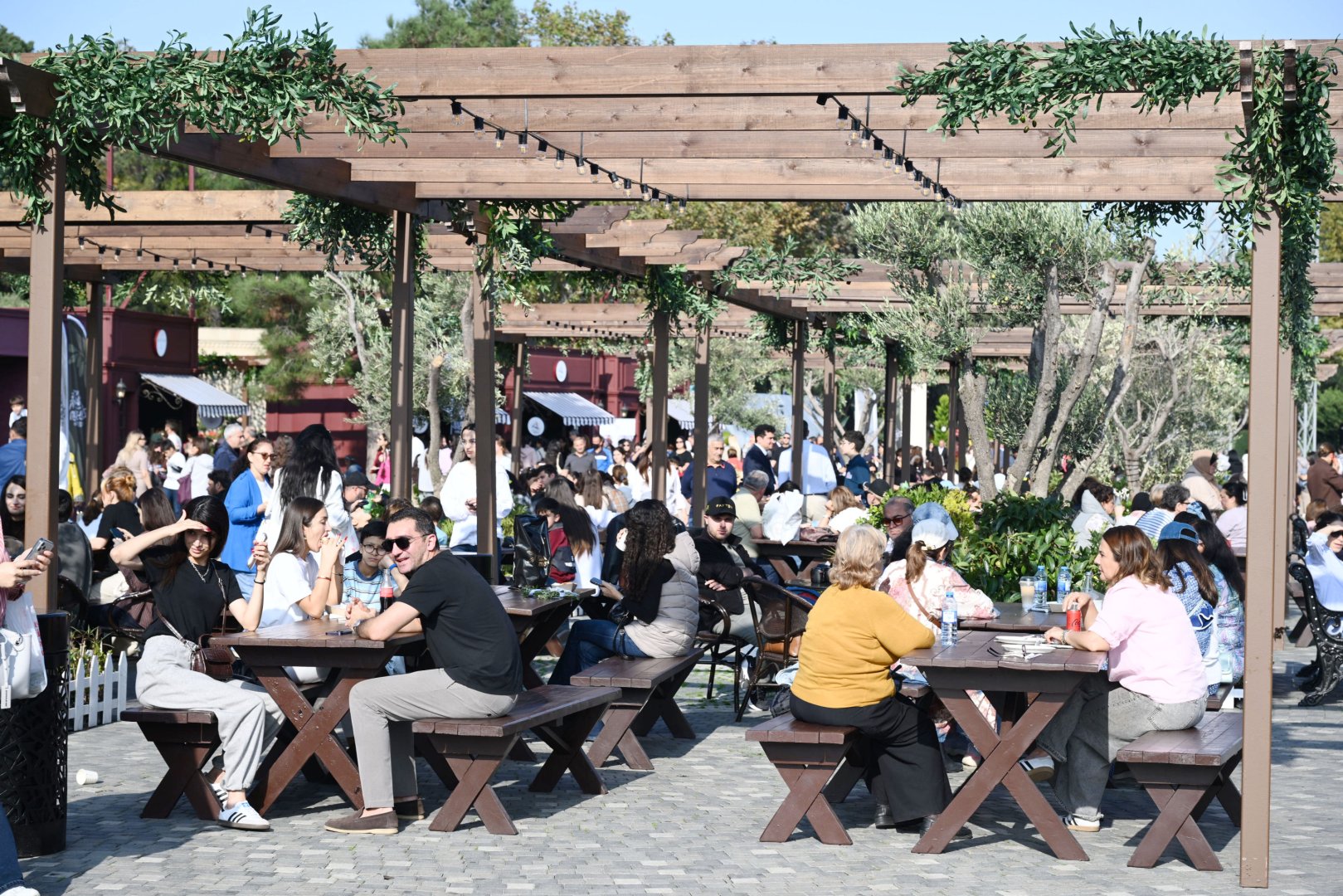 Zeytun Festivalının açılışı olub (FOTO)