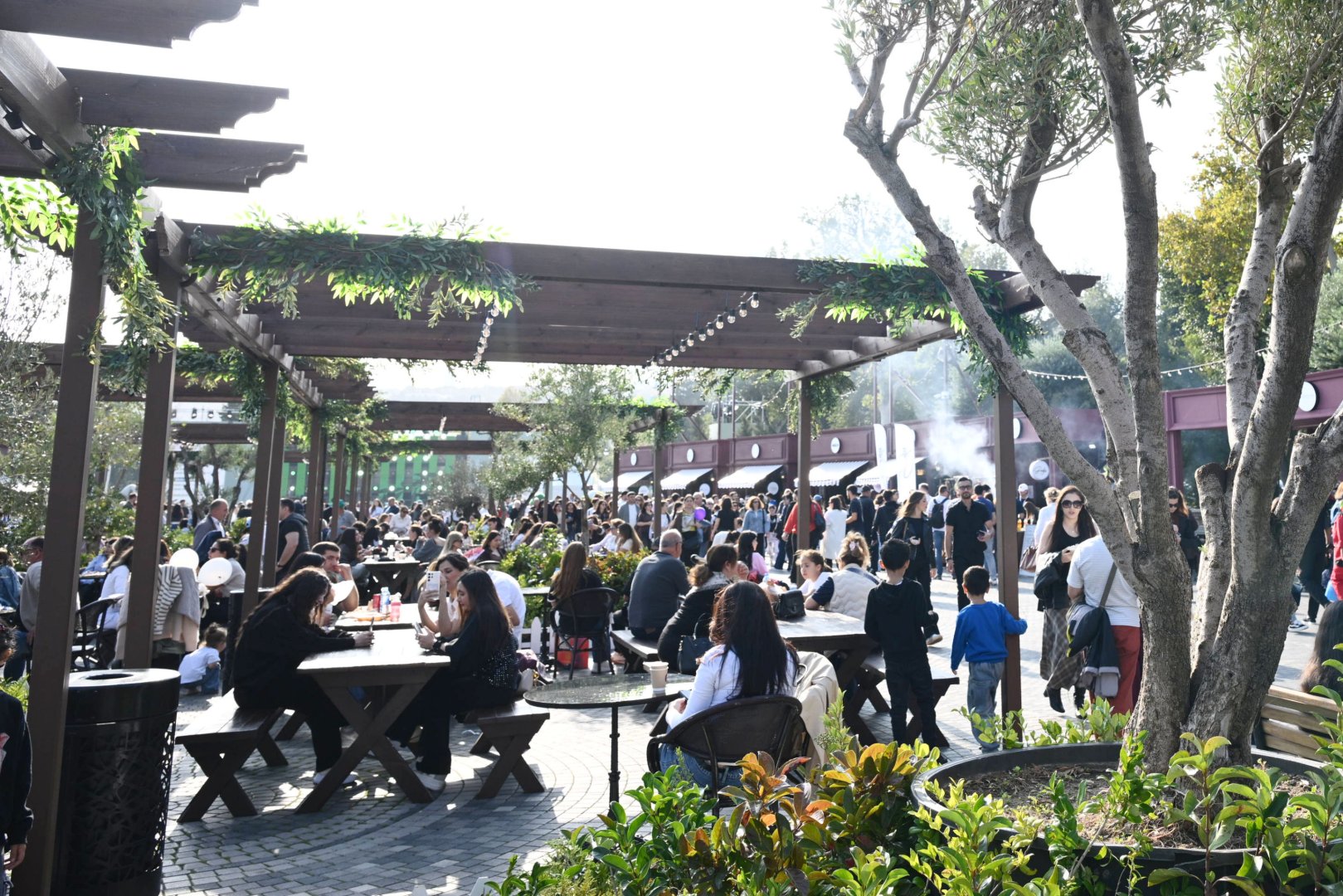 Zeytun Festivalının açılışı olub (FOTO)