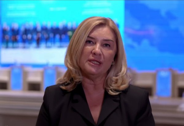 "Yaşıl Enerji Dəhlizi" maliyyə investorları üçün cəlbedici ola bilər - AYİB