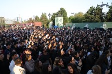 Zeytunla başlayan, musiqi ilə davam edən gün (FOTO)