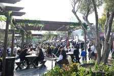 Zeytun Festivalının açılışı olub (FOTO)