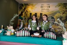 Zeytun Festivalının açılışı olub (FOTO)