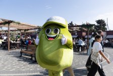 Zeytun Festivalının açılışı olub (FOTO)