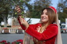 Zeytun Festivalının ikinci günü başladı (FOTO)
