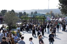 Zeytun Festivalının açılışı olub (FOTO)