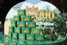 Zeytun Festivalının ikinci günü başladı (FOTO)