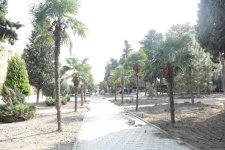 Xaçmazda “Şəhərsalma və Memarlıq İli” çərçivəsində Nəriman Nərimanov küçəsindəki park əsaslı şəkildə yenidən qurulur (FOTO)