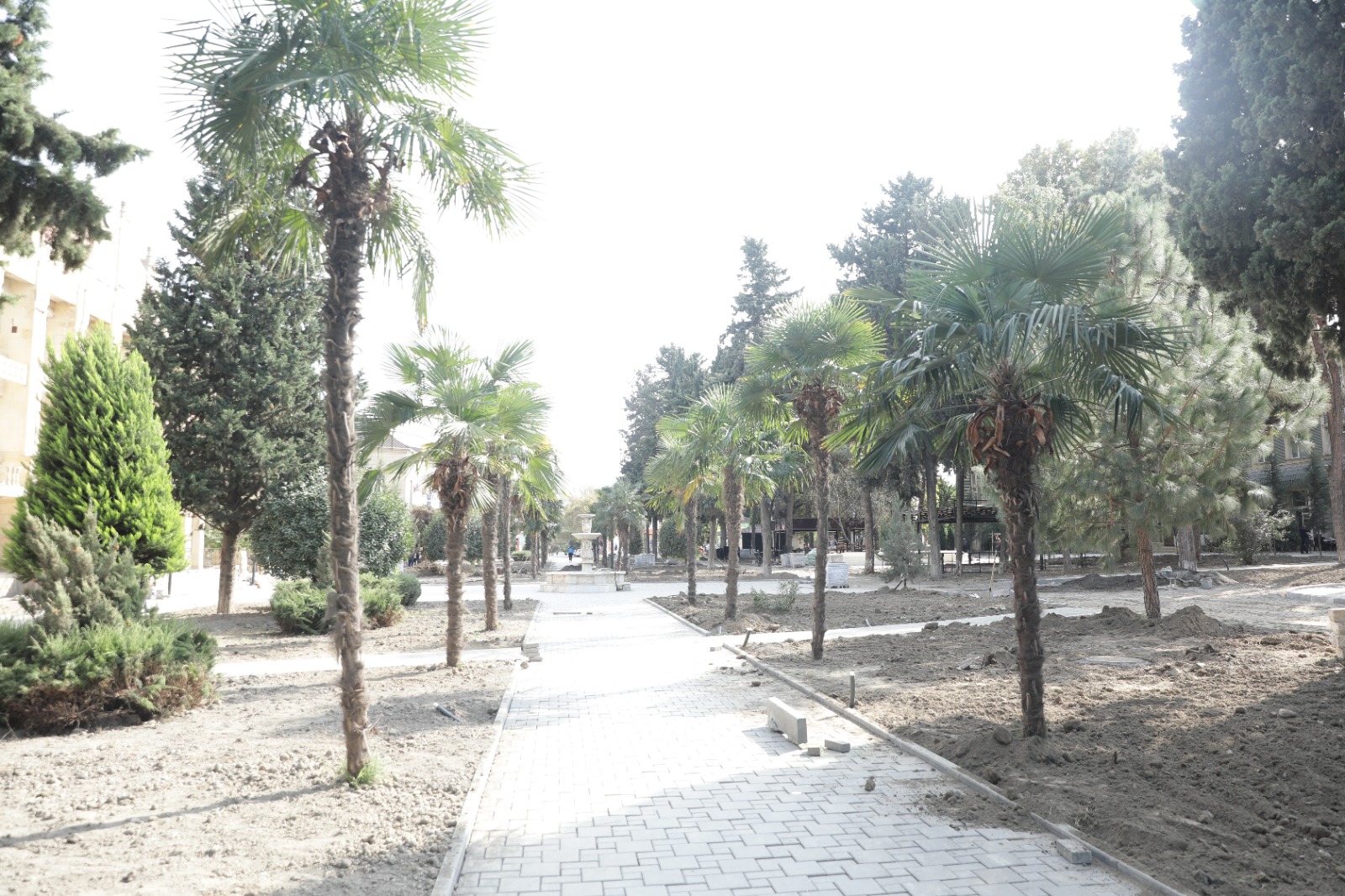 Xaçmazda “Şəhərsalma və Memarlıq İli” çərçivəsində Nəriman Nərimanov küçəsindəki park əsaslı şəkildə yenidən qurulur (FOTO)