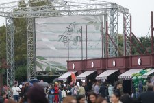 Yağışlı havaya baxmayaraq, Zeytun Festivalı davam edir (FOTO)
