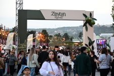Estrada ulduzları Zeytun Festivalının səhnəsində (FOTO)