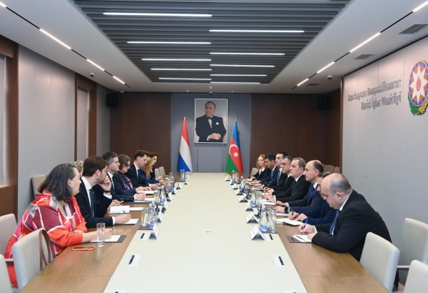 Azərbaycan və Niderland siyasi və iqtisadi əməkdaşlığı genişləndirməyi müzakirə ediblər (FOTO)