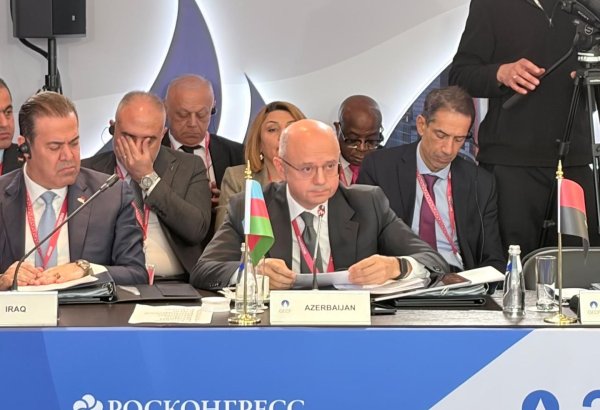 Qaza artan tələbat fonunda investisiya qərarları bu gün verilməlidir - Energetika naziri (FOTO)